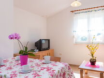 Accommodation:&nbsp;Casa Verde 569.1