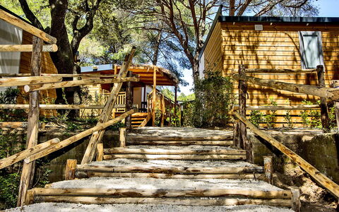 Castiglione della Pescaia 125: Stairs, Window, Tree, Branch, Wood, Plant, Building, Natural Landscape, Road Surface, Sunlight