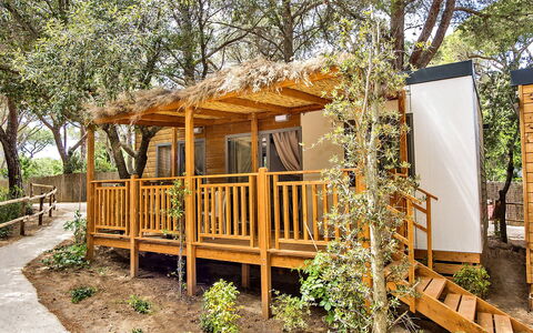 Castiglione della Pescaia 125: Plant, Property, Building, Tree, Shade, Wood, Natural Landscape, Cottage, Window, Leisure