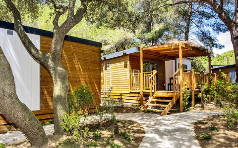 Castiglione della Pescaia 125: Plant, Property, Building, Tree, Wood, Shade, Natural Landscape, Window, Sunlight, Land Lot