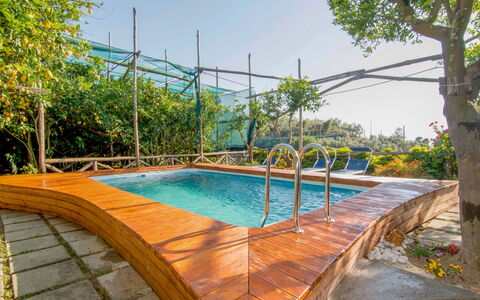 Emi: Water, Plant, Sky, Swimming Pool, Tree, Shade, Building, Botany, Outdoor Furniture, Body Of Water