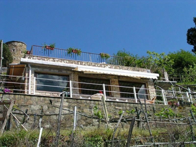 Monovista
