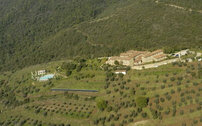 Cornia