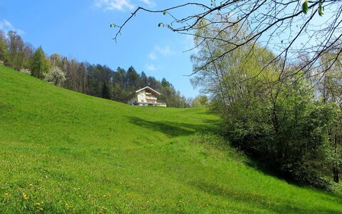 Goldegg 300: Sky, Plant, Cloud, Natural Landscape, Slope, Vegetation, Sunlight, Tree, Land Lot