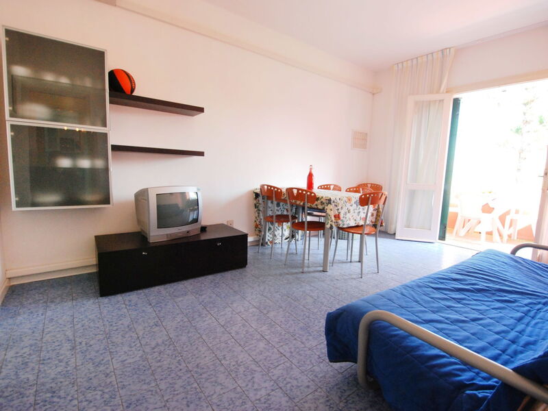 Accommodation:&nbsp;Michelangelo 310.3
