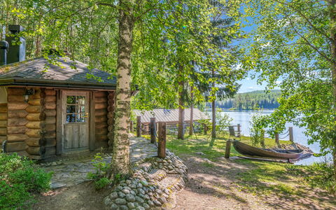 Koivukallio: Tree, Nature, Natural Environment, Wood, Landscape, Forest, Bank, Cottage, Trunk
