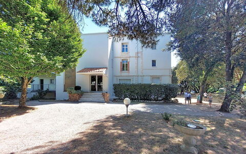 Le Platin: Tree, Branch, Home, Estate, Garden, Yard, Landscaping, Driveway, Villa, Mansion
