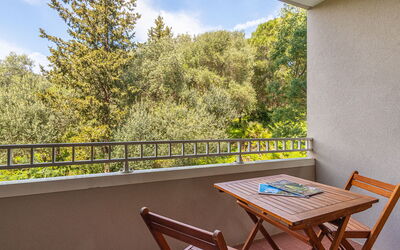 Accommodation:&nbsp;Les Mimosas 158.8