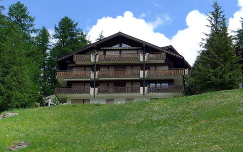 Sonnhalde B: Property, House, Building, Home, Cottage, Log Cabin, Mountain, Real Estate, Land Lot, Tree