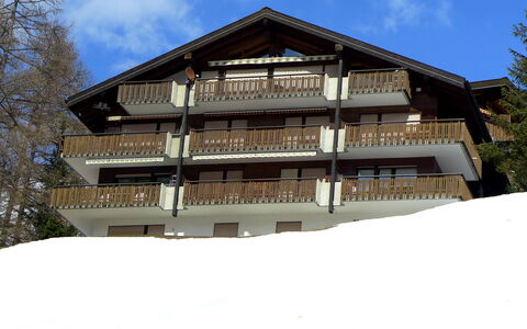 Sonnhalde B: Sky, Building, Cloud, Window, Tree, House, Snow, Slope, Wood, Facade