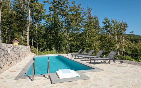 Vršak: Property, Water, Sky, Swimming Pool, Azure, Shade, Plant, Outdoor Furniture, Tree, Sunlounger