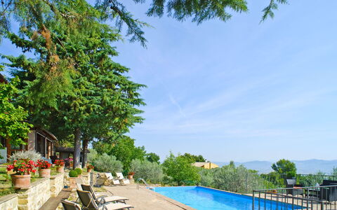Agriturismo la Casetta di Chiara: Plant, Sky, Water, Property, Cloud, Swimming Pool, Tree, Outdoor Furniture, Shade, Body Of Water