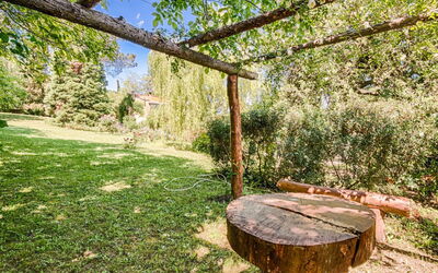 Campagnano Di Roma 20: Tree, Property, Grass, Trunk, Real Estate, Woody Plant, Woodland, Forest, Table, Plant