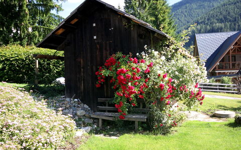 Schwalbennest: Plant, Flower, Sky, Property, Building, Tree, Natural Landscape, House, Land Lot, Cottage