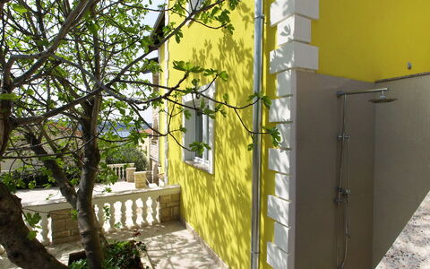 Novigrad (Zadar) 126: Building, Plant, Shade, Sunlight, House, Yellow, Window, Tree, Road Surface, Wood