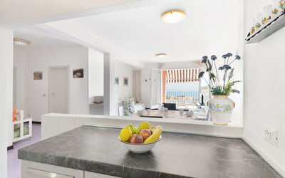 Accommodation:&nbsp;Mimose 2 400.9