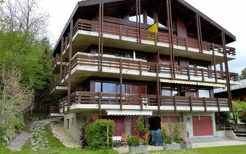 Ovronnaz 119: Plant, Sky, Building, Window, Tree, Land Lot, House, Urban Design, Residential Area, Wood