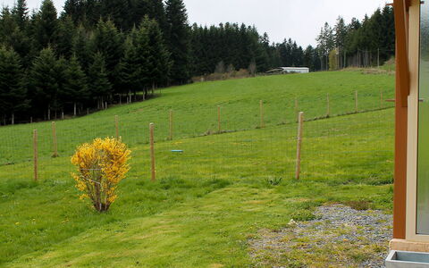 Le Clos des Sapins: Grass, Land Lot, Meadow, Grass Family, Tree, Pasture, Plant, Lawn, Grassland, Garden
