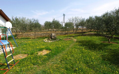 Villa Ana: Land Lot, Grass, Natural Landscape, Meadow, Garden, Nature Reserve, Pasture, Grassland, Yard, Lawn