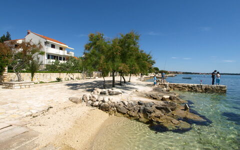 Zadar 136: Water, Sky, Building, Tree, Coastal And Oceanic Landforms, Plant, Beach, Wood, Window, Bank