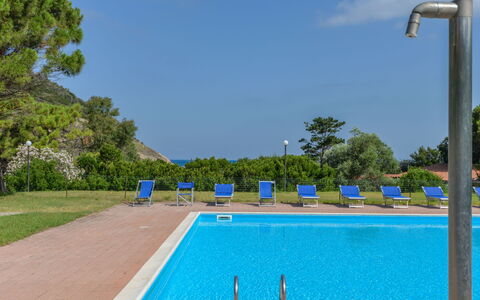 Nisporto 100: Sky, Water, Plant, Swimming Pool, Cloud, Azure, Tree, Rectangle, Shade, Grass