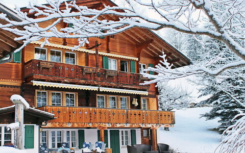 Chalet Jrene: Building, Sky, Snow, Window, Tree, World, Twig, House, Residential Area, Freezing