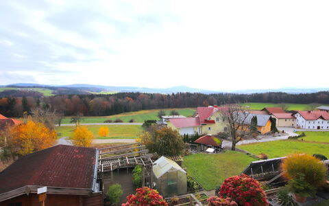 Eisele: Landscape, Rural Area, House, Plain, Land Lot, Field, Village, Cottage, Farm, Landscaping