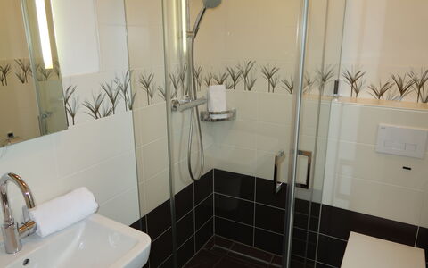 Dagebüll 200: Plumbing Fixture, Property, Sink, Mirror, Tap, Bathroom, Shower, Shower Door, Shower Head