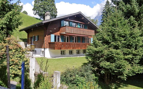 Grindelwald 322: Plant, Sky, Building, Window, Cloud, Tree, Natural Landscape, House, Land Lot, Larch
