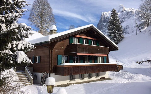 Grindelwald 322: Sky, Cloud, Snow, Building, Plant, Window, Tree, House, Slope, Larch