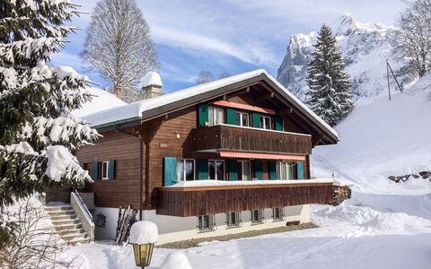 Grindelwald 322: Cloud, Sky, Snow, Building, Plant, Window, Tree, House, Slope, Larch