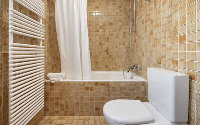 Accommodation:&nbsp;Chalet Bienli Mitte 322.1