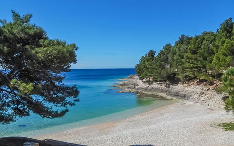 Martinović: Water, Sky, Water Resources, Plant Community, Natural Landscape, Azure, Tree, Coastal And Oceanic Landforms, Beach, Terrain