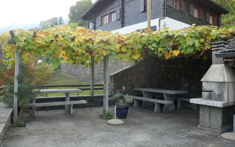 Mona: Table, Plant, Tableware, Furniture, Sky, Property, Chair, Outdoor Furniture, Outdoor Table, Interior Design