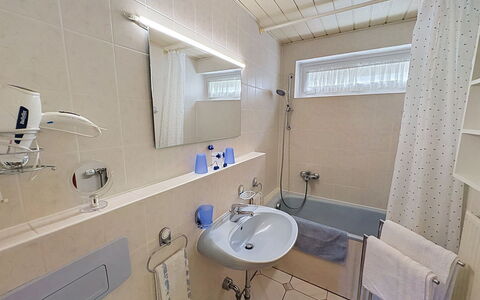 Triberg 100: Bathroom, Bathroom Sink, Plumbing Fixture, Sink, Flooring, Floor, Interior Design, Tap, Plumbing, Room