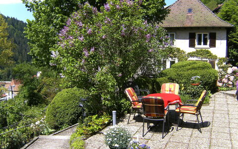 Triberg 100: Plant, Building, Flower, Flowerpot, Window, Chair, Sky, Tree, House, Shrub