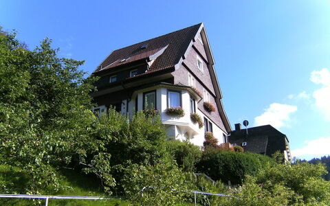 Triberg 100: Sky, Building, Property, Plant, Cloud, Window, House, Vegetation, Grass, Natural Landscape