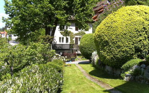 Triberg 100: Plant, Property, Plant Community, Building, Leaf, Nature, Natural Landscape, Tree, Window, Botany