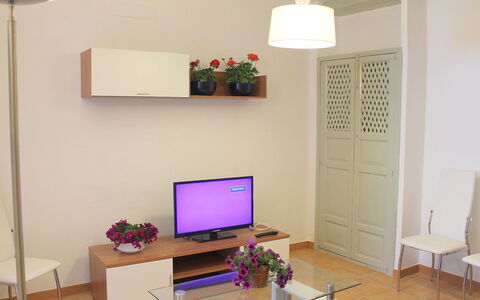 Bernia: Furniture, Property, Building, Houseplant, Lighting, Plant, Wood, Interior Design
