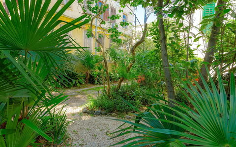 Silvia: Plant, Plant Community, Botany, Leaf, Tree, Terrestrial Plant, Arecales, Vegetation, Biome, Natural Landscape