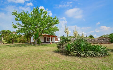 Ledi: Cloud, Sky, Plant, Natural Landscape, Tree, Land Lot, House, Grass, Grassland, Plain