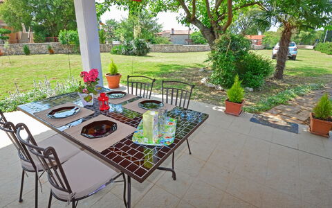 Ledi: Plant, Table, Furniture, Flowerpot, Tableware, Outdoor Table, Tree, Green, Chair, Houseplant