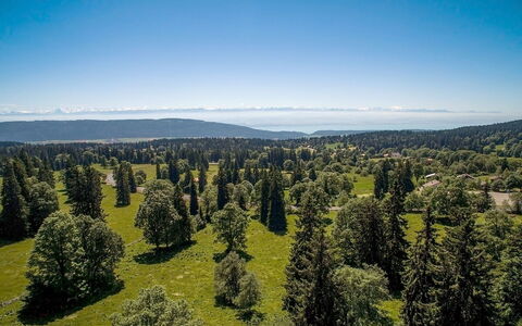 Chalet de la Vue des Alpes: Nature, Tree, Sky, Mountainous Landforms, Wilderness, Tropical And Subtropical Coniferous Forests, Biome, Natural Environment, Mountain, Forest