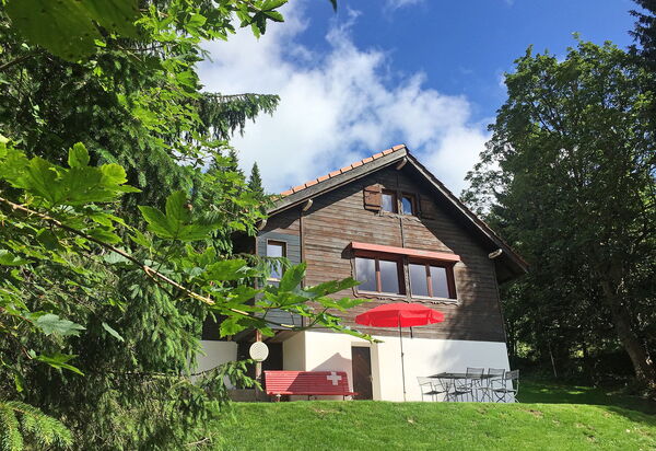 Holiday Rentals In La Vue Des Alpes Switzerland Villas