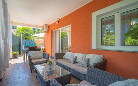 Sandra: Plant, Couch, Furniture, Property, Window, Azure, Houseplant, Interior Design, Shade, Living Room