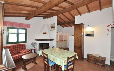 Martino 4