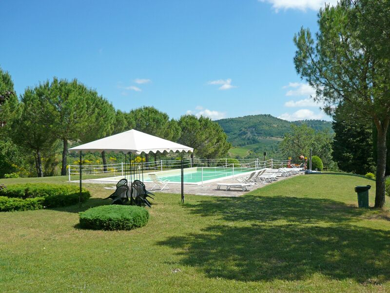 Martino