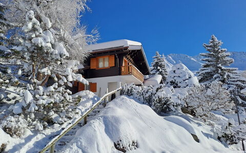 Biquinou: Sky, Building, Snow, Plant, Window, Branch, Slope, House, Tree, Larch