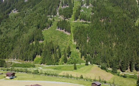 Neustift im Stubaital 410: Plant, Nature, Natural Landscape, Tree, Highland, Slope, Land Lot, Mountain, Biome, Larch