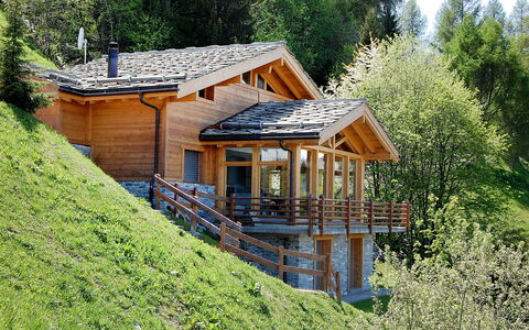 Chalet Arvine: Property, Building, Plant, Window, House, Natural Landscape, Tree, Wood, Cottage, Slope